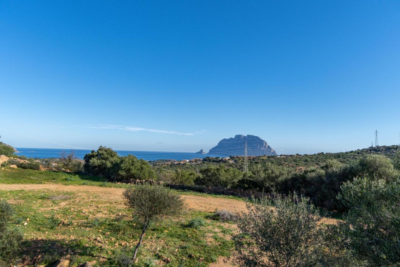 Le Case Di Mara - Appartamenti Tipici "Stazzo Giovannareddu" Porto San Paolo  Exterior foto