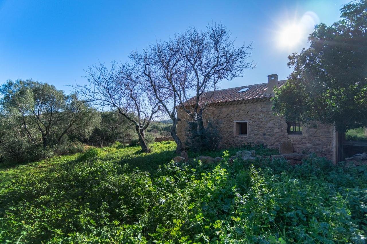 Le Case Di Mara - Appartamenti Tipici "Stazzo Giovannareddu" Porto San Paolo  Exterior foto